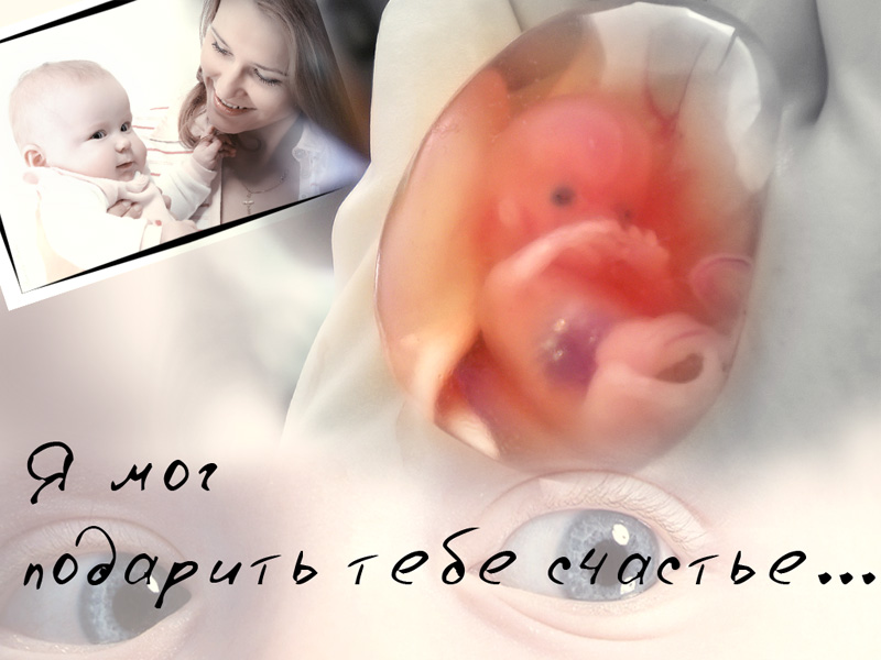 Я могу подарить чудо Я могу подарить чудо